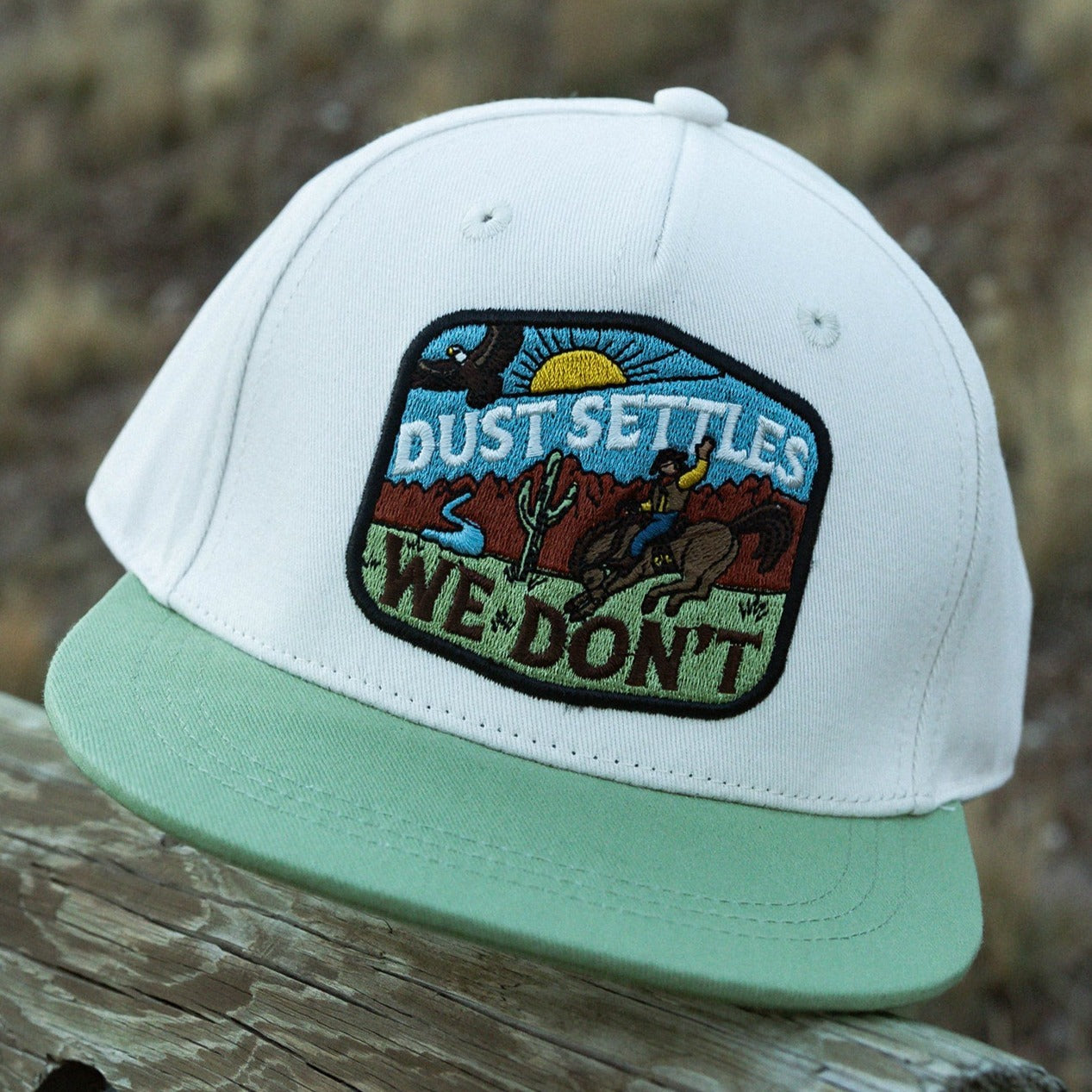 Dust Settles, We Don't