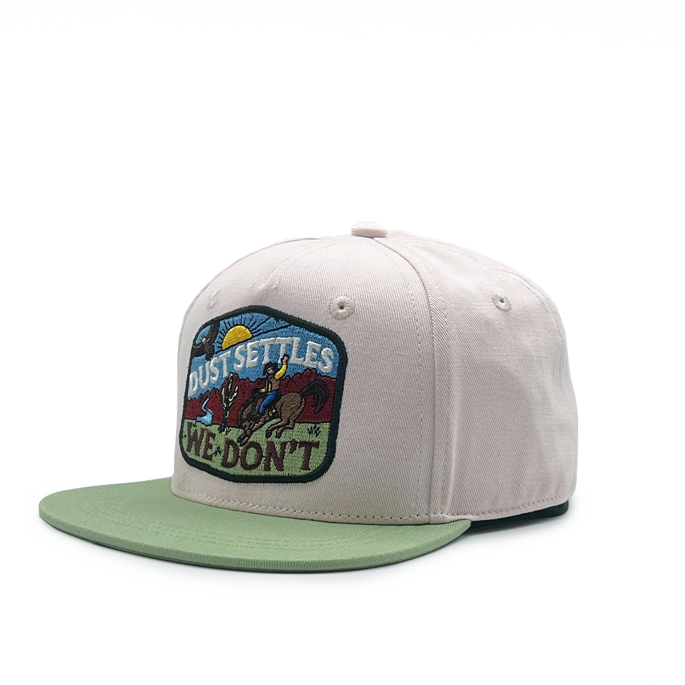 Dust Settles, We Don't